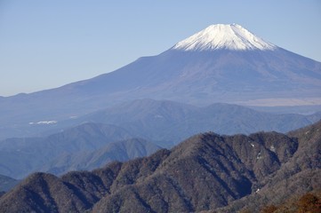 Fototapeta premium 丹沢山より初冬の富士山