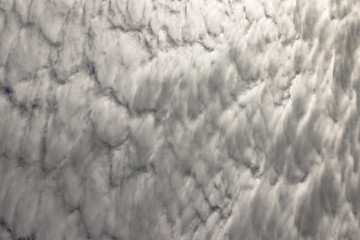 Fluffy grey cloud-like texture/background.