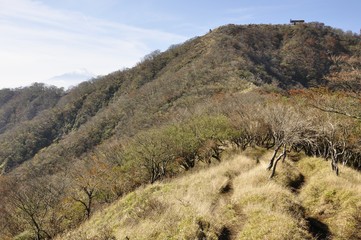 丹沢の紅葉 表尾根から眺める塔ノ岳と富士山