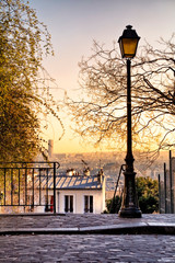 Street lamp and Paris skyline seen from Paris, France