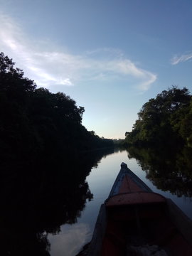 rio xingu