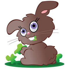 Cute brown bunny rabbit eating greens
