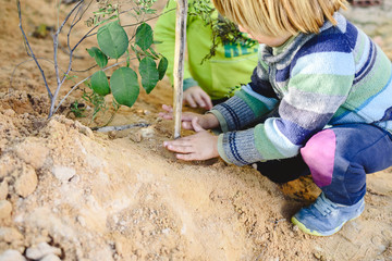 Two children playing with sand and dirt in an outdoor park, free child development.