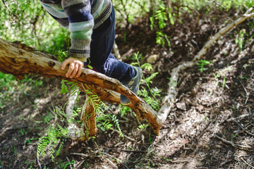 Blond boy trying to climb a tree to overcome fears and develop his confidence.