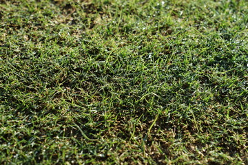 スポーツ広場　風景