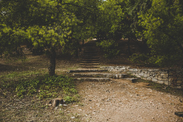 park outdoor symmetry photography with ground trails path way for walking to stone upstairs place in shadows under trees