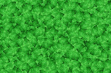 art green leaves pattern background