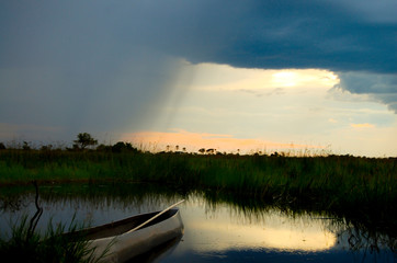 Obraz premium Makoro - Okavango Delta - Botswana