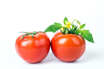 Fresh tomatoes