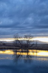 Views of Josh’s Pond walking path, Reflecting Sunset in Broomfield Colorado surrounded by Cattails, plains and Rocky mountain landscape during sunset. United States.