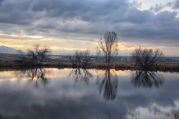 Views of Josh’s Pond walking path, Reflecting Sunset in Broomfield Colorado surrounded by Cattails, plains and Rocky mountain landscape during sunset. United States.