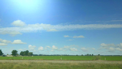 Fototapeta na wymiar sky view background cloud Meadow tree
