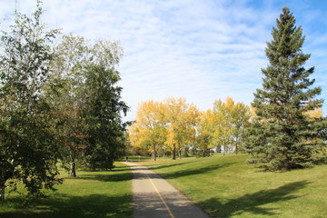 Fototapeta na wymiar Autumn In Rundle Park, Edmonton, Alberta