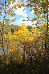 First Breath Of Autumn, Gold Bar Park, Edmonton, Alberta
