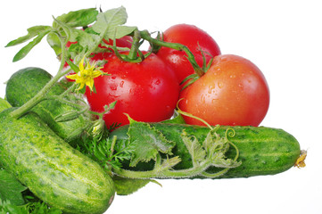 Tomatoes and cucumbers on the kitchen board. Close-up