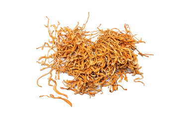 Fungus food cordyceps flower