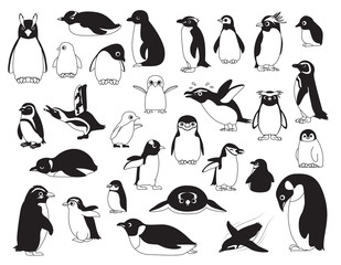 Naklejka premium Ładny ptak różnych pingwinów czarno-biały zestaw ilustracji