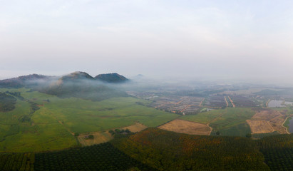 Aerial view of agriculture in the morning with fog and sunshine