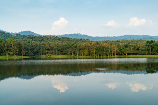 7 kot Lake side#4