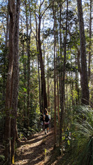 Young hikers explore the wilderness