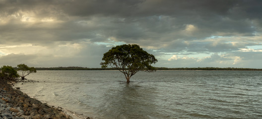 Bayside Panorama