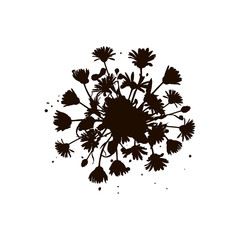 Background with drawing herbs and flowers