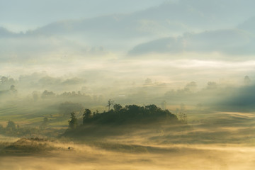 beautiful color on the mist in the field © chatchai