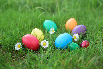 Fototapeta na wymiar Colored Easter eggs in a grass