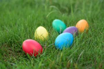 Fototapeta na wymiar Easter hunt - colored hen eggs in a grass