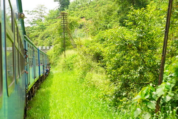 Obraz na płótnie Canvas スリランカの紅茶列車