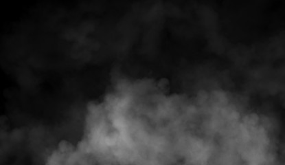 Fototapeta na wymiar Abstract smoke mist fog on a black background. Texture. Design element.