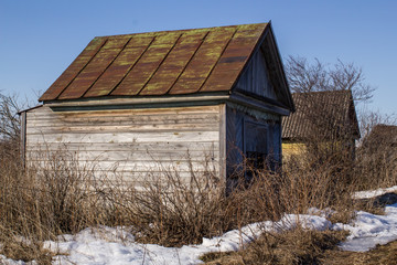 old abandoned wooden house in spring