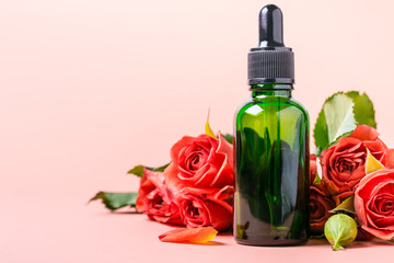 Obraz na płótnie Canvas Essence rose oil in a green bottle and a living coral rose