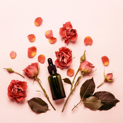Essence rose oil, rosebuds and petals close-up