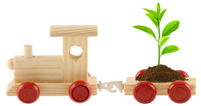 plant de citronnier sur wagon de petit train en bois
