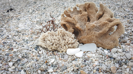 Beach still life