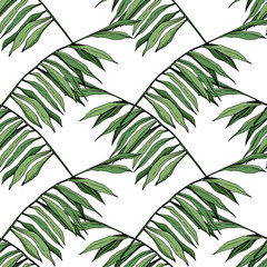 Vector Green leaf plant garden floral foliage. Engraved ink art. Palm beach tree leaves. Seamless background pattern.
