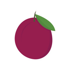 Plum icon on white background for graphic and web design, Modern simple vector sign. Internet concept. Trendy symbol for website design web button or mobile app