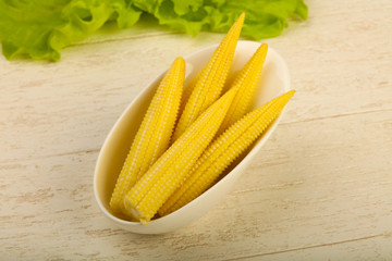 Young baby corn