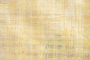 Real old payrus paper background and texture number 6. Close up macro.