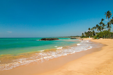 Fototapeta na wymiar Untouched tropical beach with palms, sandy tropical exotic beach in Sri-Lanka