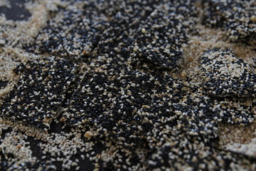 Thai Dessert. Peanut Bar or Nut Bars cooking on table 