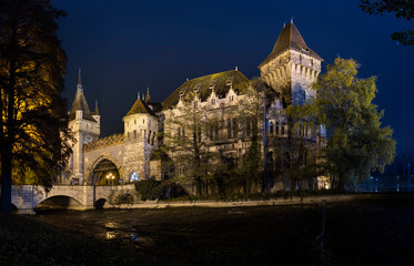 Fototapeta na wymiar Night view of the Vajdahunyad castle in Budapest, Hungary