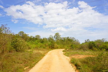 Fototapeta na wymiar スリランカのミンネリア国立公園