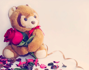 Teddy bear holding a red rose and around the scattered dried rose petals.The concept of Valentine's Day