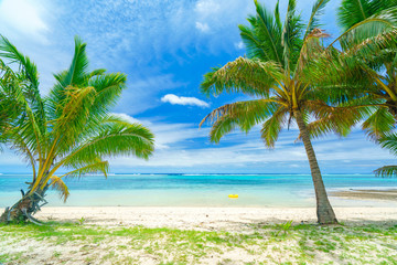 Obraz na płótnie Canvas An idyllic beach with palm trees in Rarotonga in the Cook Islands