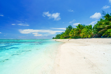 An idyllic beach with palm trees in Rarotonga in the Cook Islands