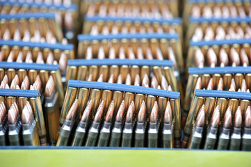 Rifle's live ammunition