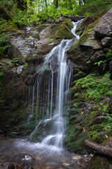 Fototapeta na wymiar Creek in green forest with waterfall