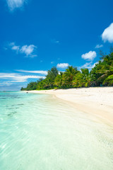 Fototapeta na wymiar An idyllic beach with palm trees in Rarotonga in the Cook Islands